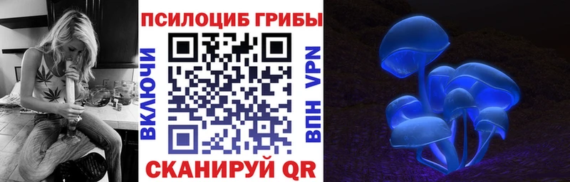 хочу наркоту  Буинск  Галлюциногенные грибы Psilocybe 